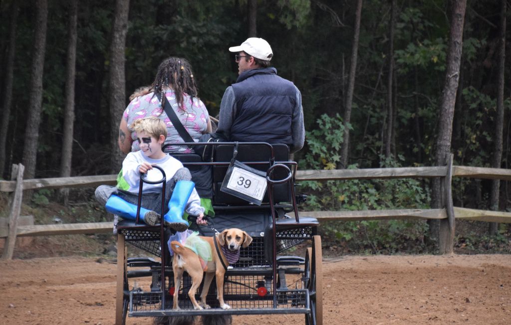 mimosa farm 10-2019 153 (1024x652).jpg
